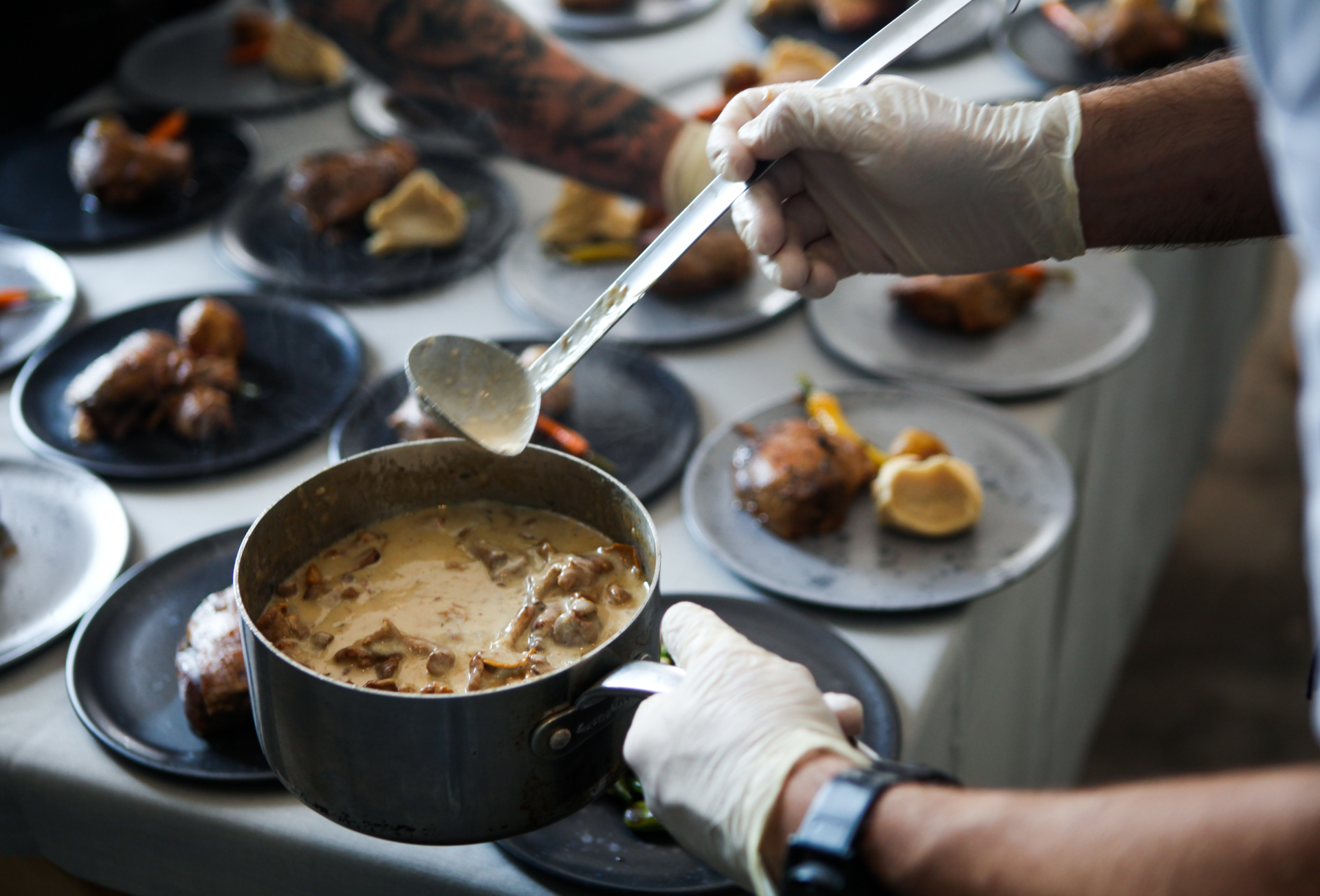 Aizvadīta projekta WILD WONDERS aktivitāte – Savvaļas garšas festivāls!!!.