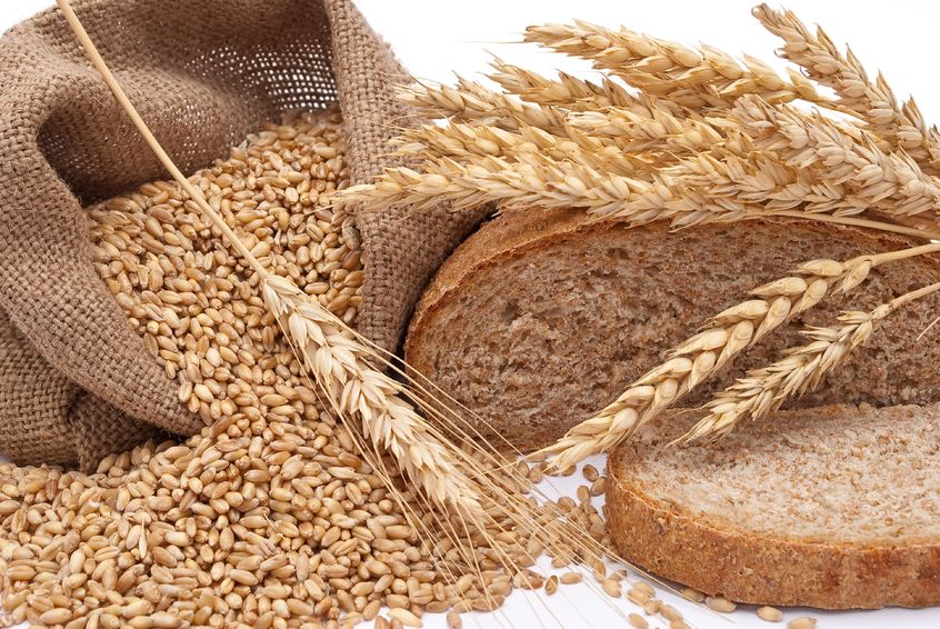 Noslēdzies bērnu vasaras piedzīvojums “Maizes ceļš”