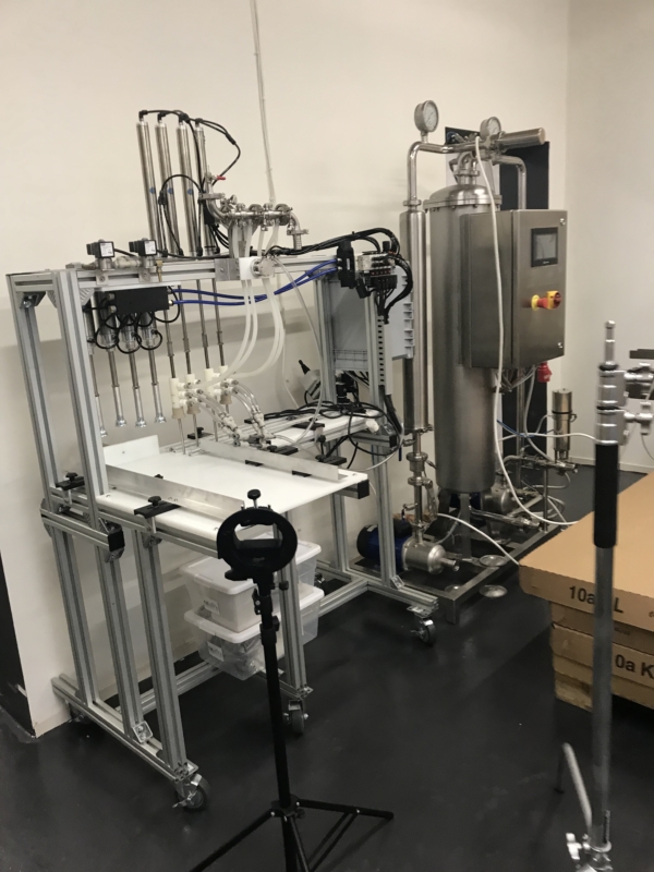 Kombuča – dzīvības dzēriena ražošana