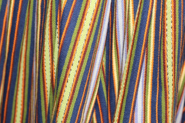 Tautas tērpu iegāde Pārgaujas novada Raiskuma pagasta Jauktajam korim