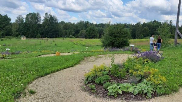 Meža izziņas parka izveide Spārē