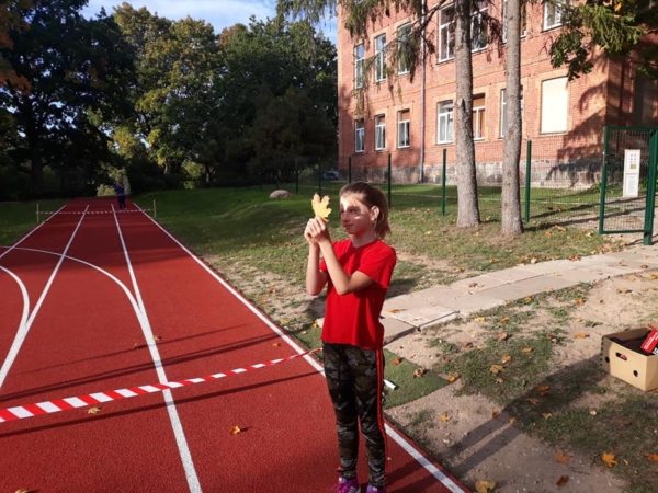 Skrejceļa rekonstrukcija Dzērbenes vispārizglītojošās un mūzikas pamatskolas sporta laukumā
