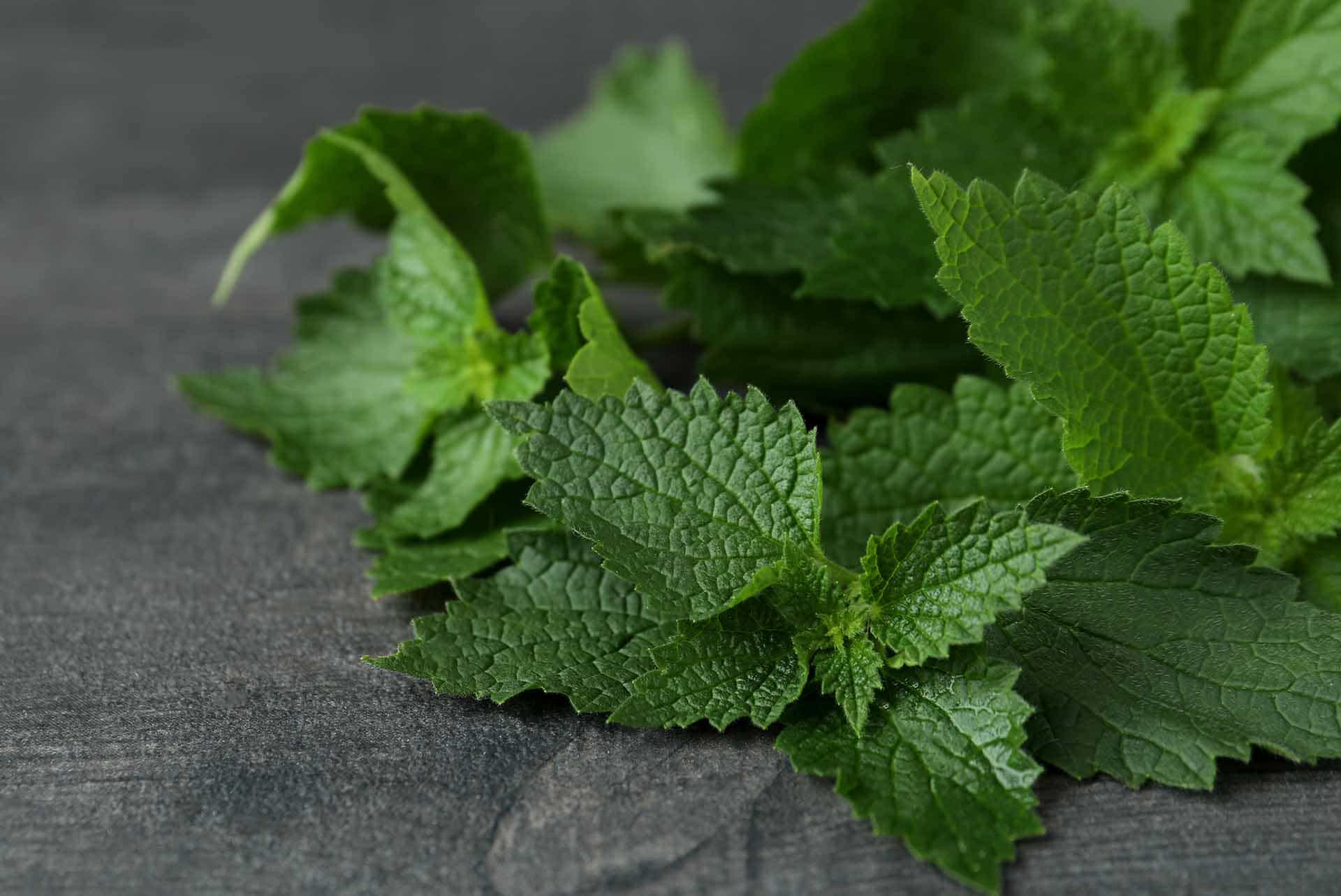 NODARBĪBU CIKLS – “Jaunrade savvaļas produktu gatavošanā” nodarbības