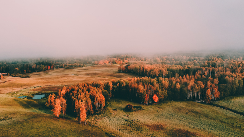 Iespējams sniegt priekšlikumus par Latviešu vēsturisko zemju un kultūrtelpu attīstības plānu 2022.-2027.gadam