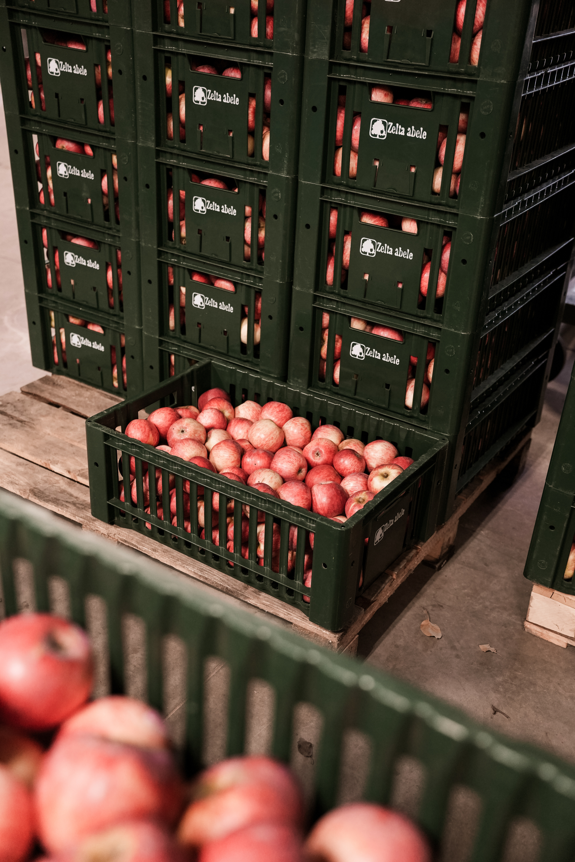 Aizritējis pieredzes apmaiņas pasākums projektā “Ceļā uz Zaļo reģionu”